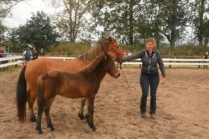 14264991_528635107330614_2250754402584194126_n