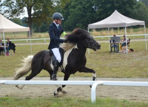 Rico-Marvin Wieben mit Djarfur vom Laekurhof